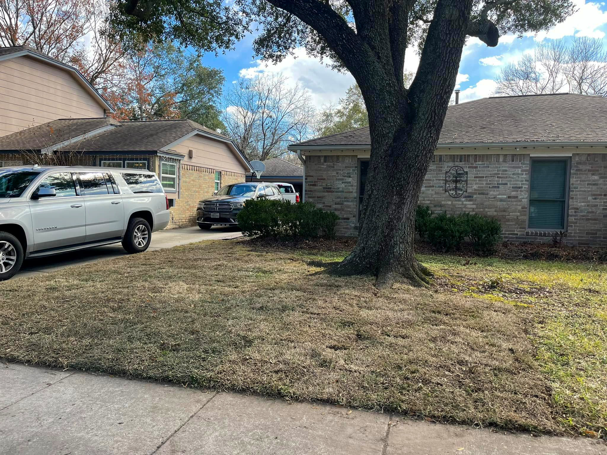 Yard after sod installation
