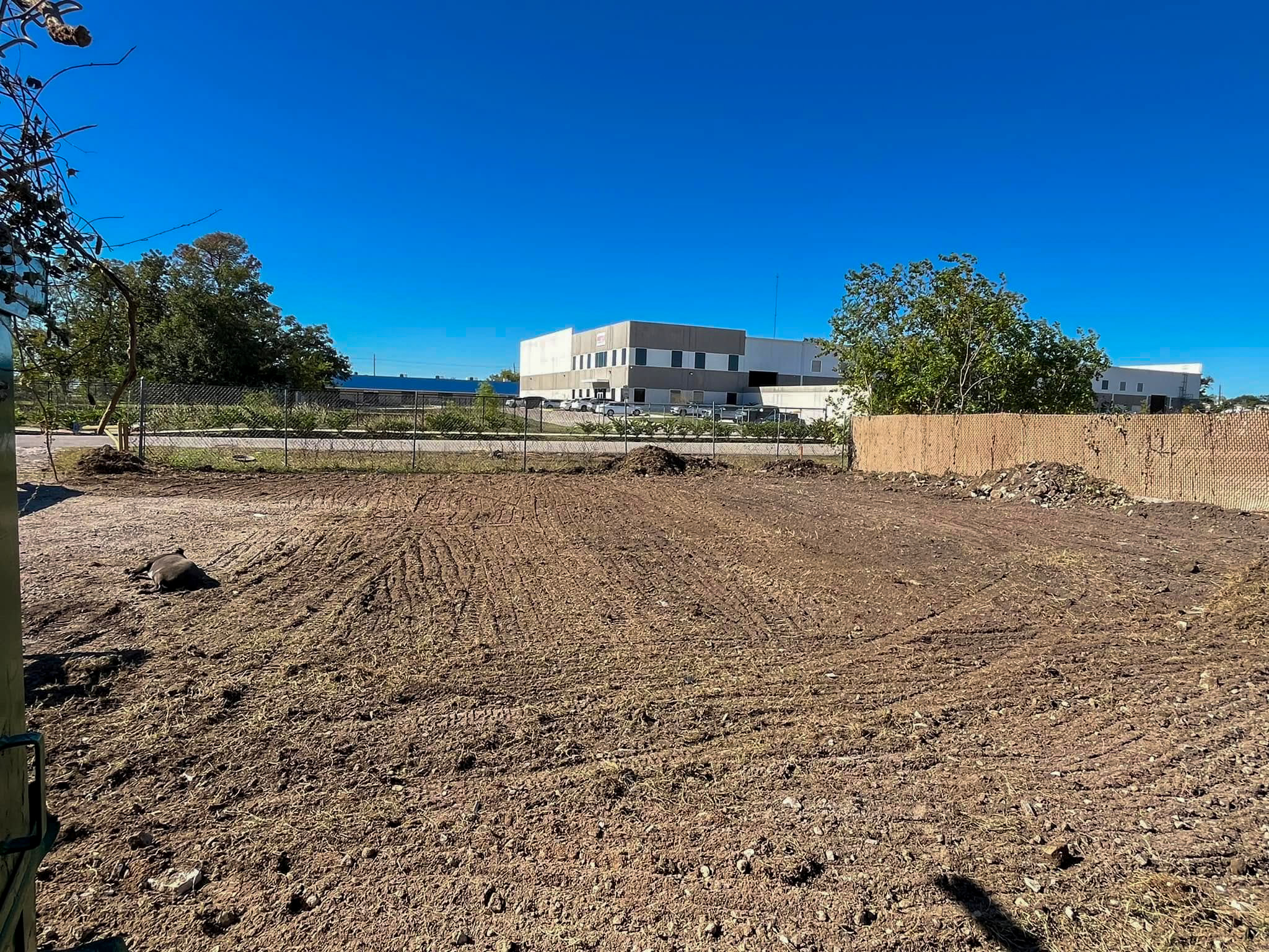 Freshly graded vacant lot after brush and debris clearing
